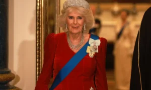 „Nemilosrdná“ kráľovná Camilla sa stala „usmievajúcou sa vrahyňou“ kráľovskej rodiny, keďže pracuje na „trvalej vedľajšej koľaji“ bývalého princa Andrewa