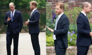 Princ William posiela princovi Harrymu brutálnu narodeninovú správu s jedným vypočítaným pohybom