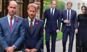 Princ William „Furious“ ako „Open-ended Experiment“ Harryho a Meghan, Britský návrat otriasol kráľovskými rodinami