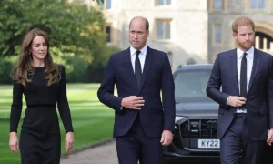 Psychický predpovedá, že princ Harry sa bude hádať s princom Williamom za zatvorenými dverami a bude si držať odstup od Kate